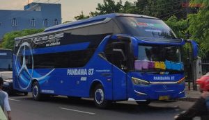 2 Sleeper Bus Ngawi-Bali yang Super Nyaman untuk Rebahan
