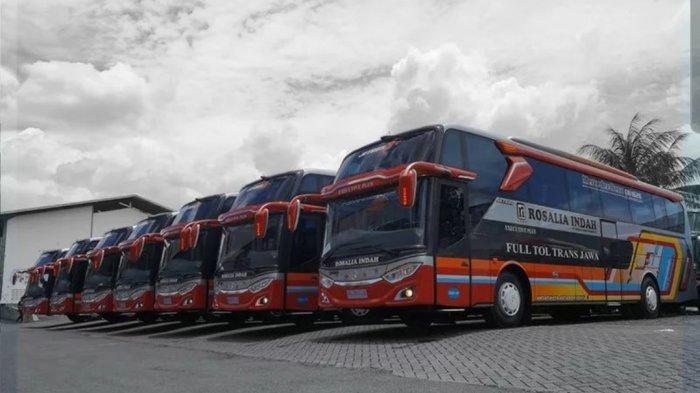 Bus Rosalia Indah Executive: Fasilitas dan Rute
