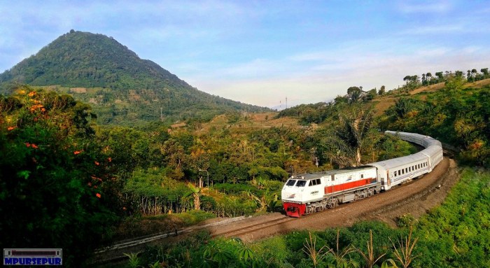 Kereta Kutojaya Selatan: Rute, Harga Tiket, dan Fasilitas yang Tersedia