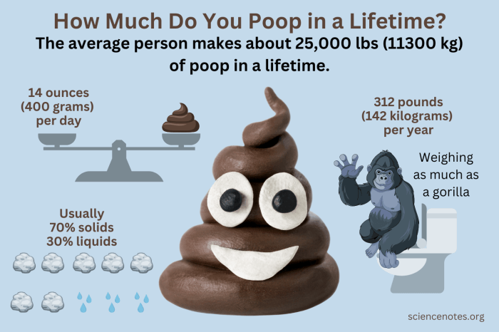 Apakah Bisa BAB di Pesawat? Berikut Info dan Tipsnya