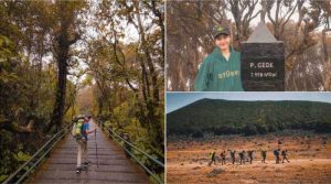 Rute ke Gunung Pangrango via Cibodas dari Jakarta sebagai Panduan Perjalanan