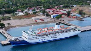 Jadwal Kapal Pelni KM Dobonsolo Agustus 2025